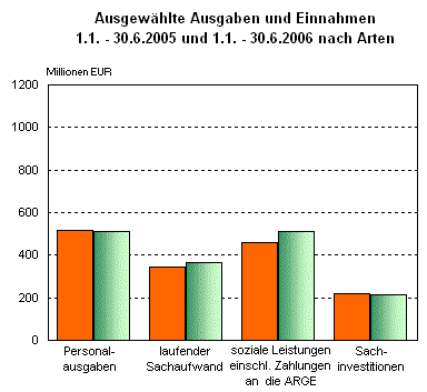 Ausgewählte Ausgaben und Einnahmen 1.1. - 30.6.2005 und 1.1. - 30.6.2006 nach Arten