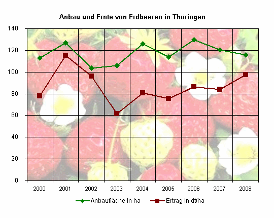 Anbau und Ernte von Erdbeeren in Thüringen